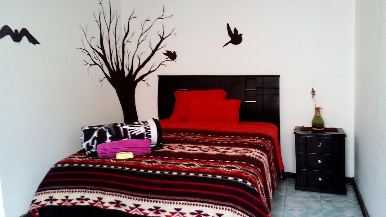 איבארה The Backpacker Hostal מראה חיצוני תמונה