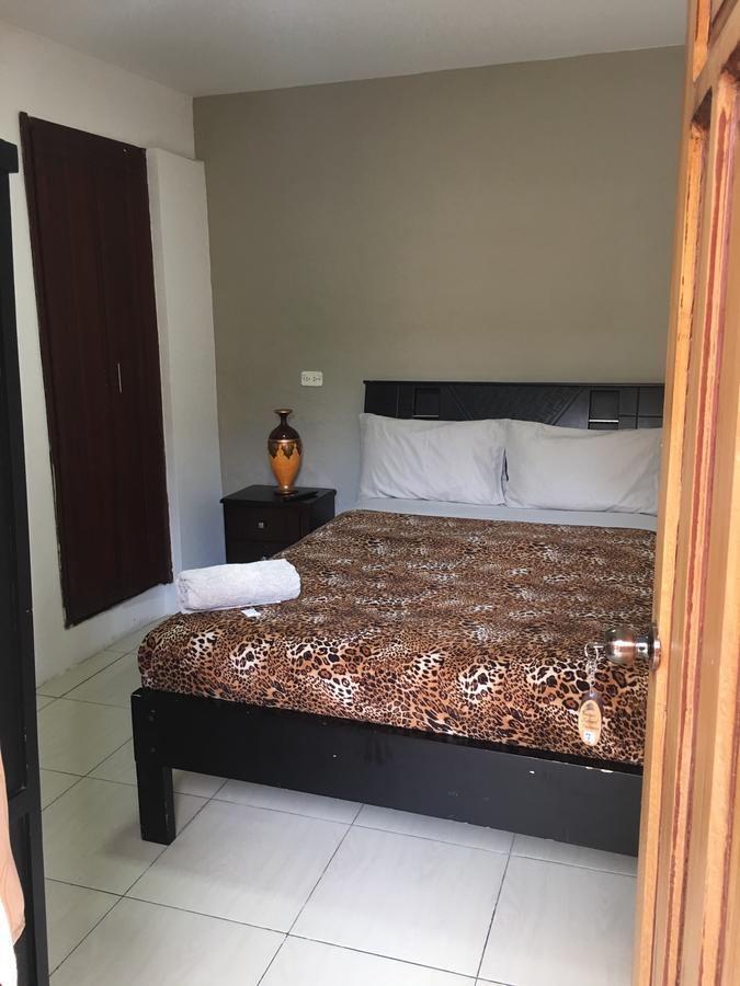 איבארה The Backpacker Hostal מראה חיצוני תמונה