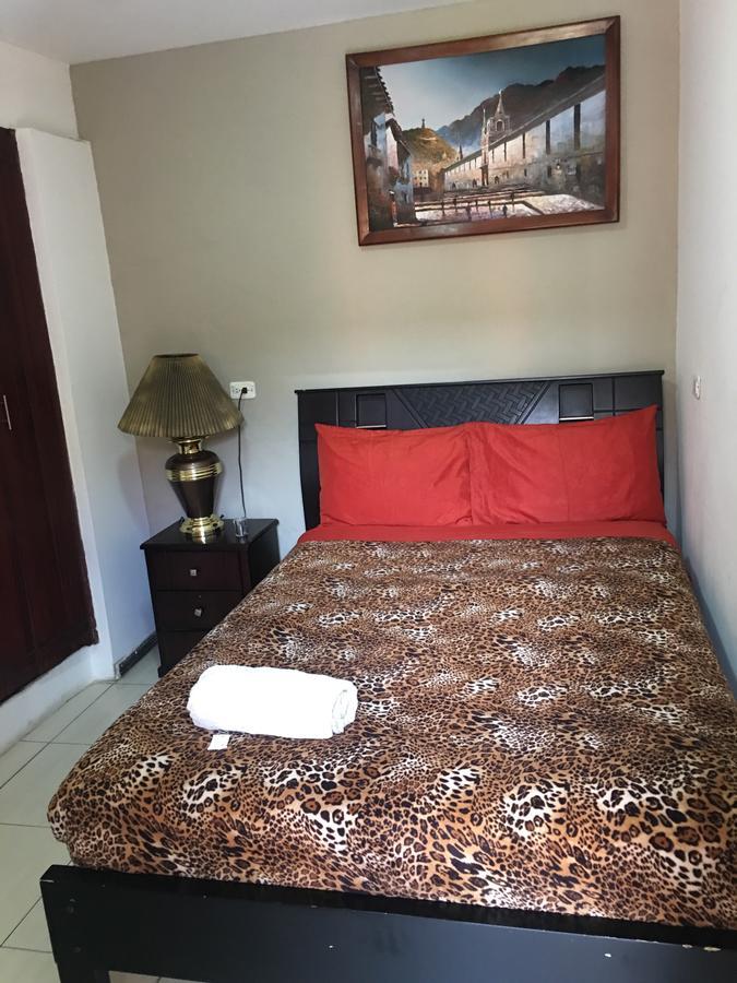 איבארה The Backpacker Hostal מראה חיצוני תמונה
