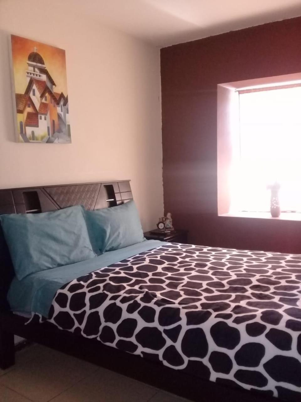 איבארה The Backpacker Hostal מראה חיצוני תמונה
