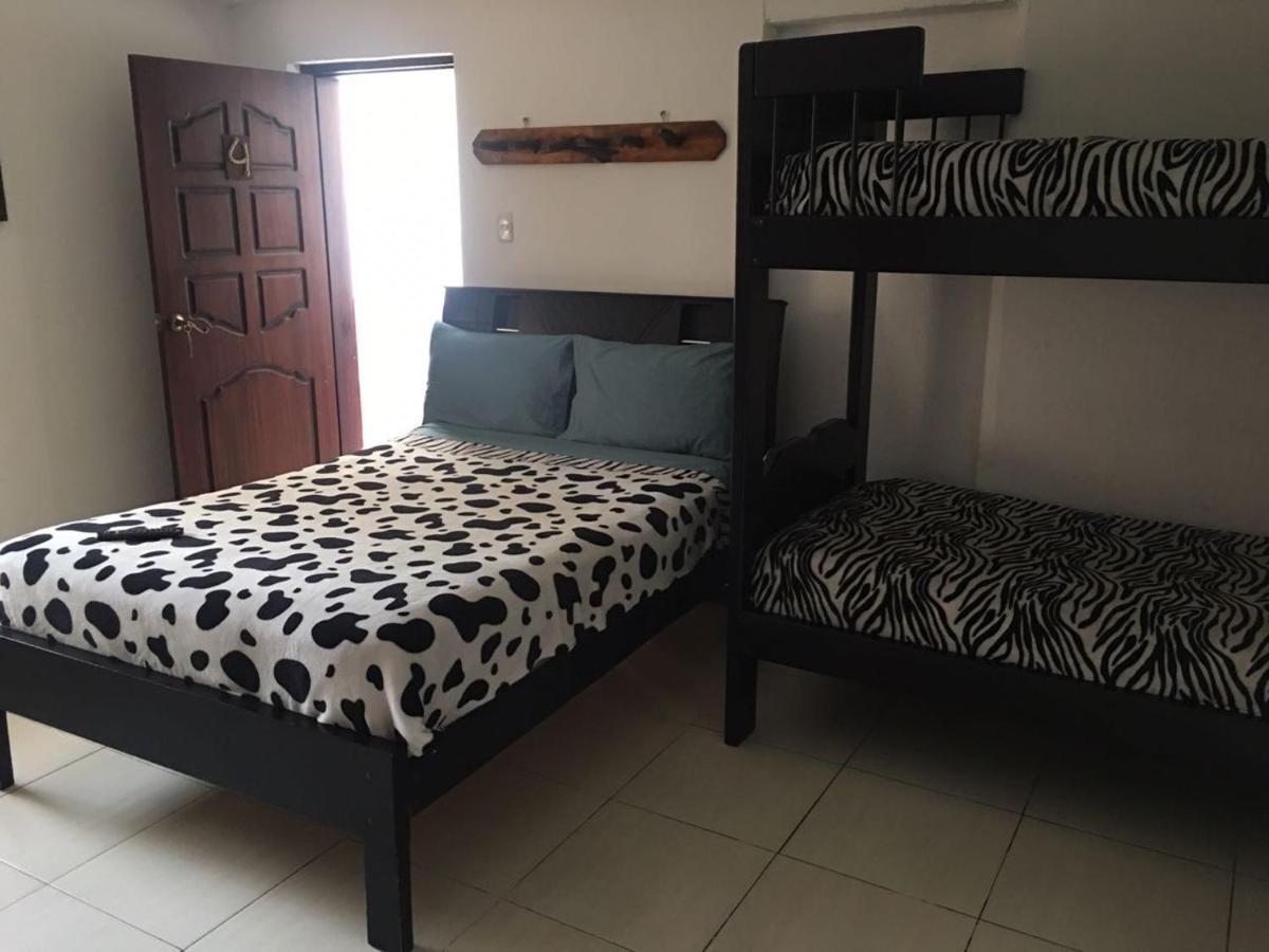 איבארה The Backpacker Hostal מראה חיצוני תמונה