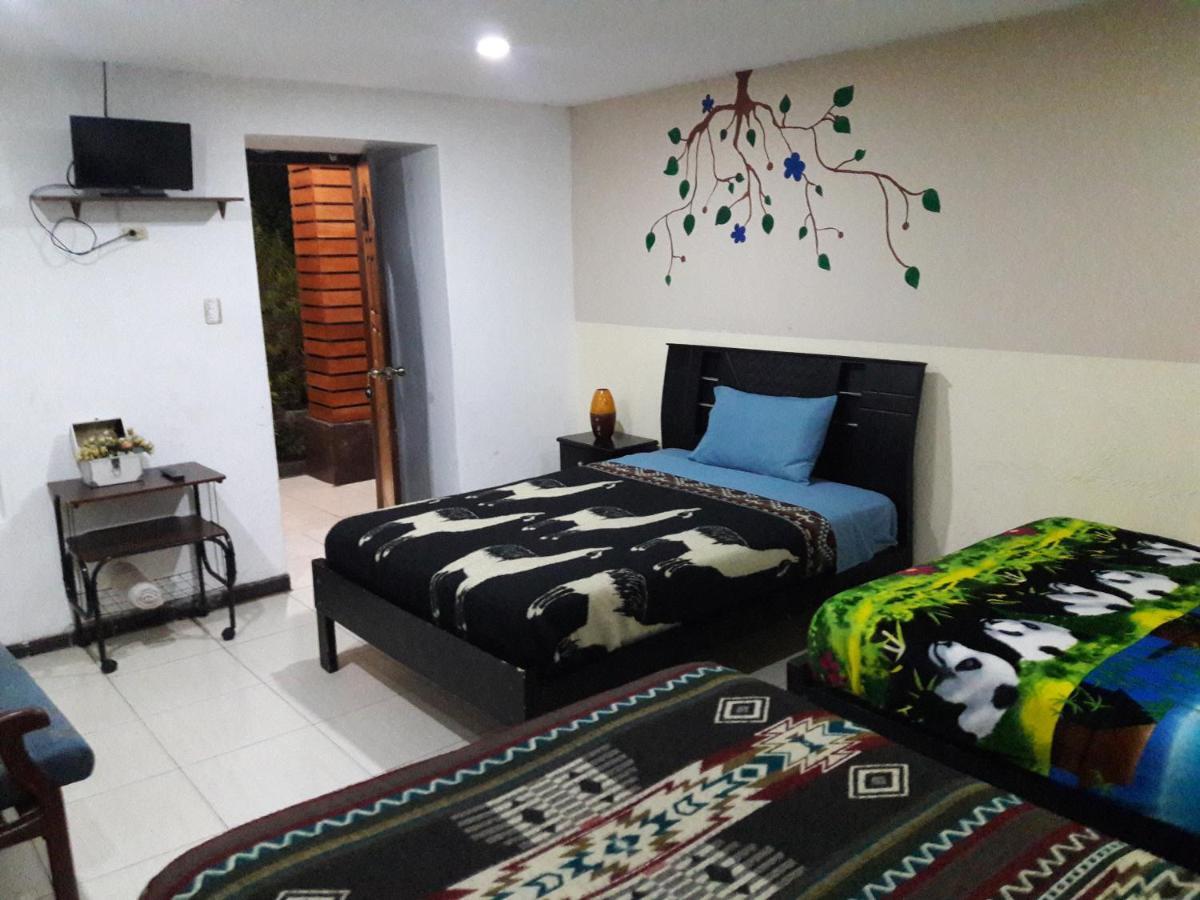 איבארה The Backpacker Hostal מראה חיצוני תמונה